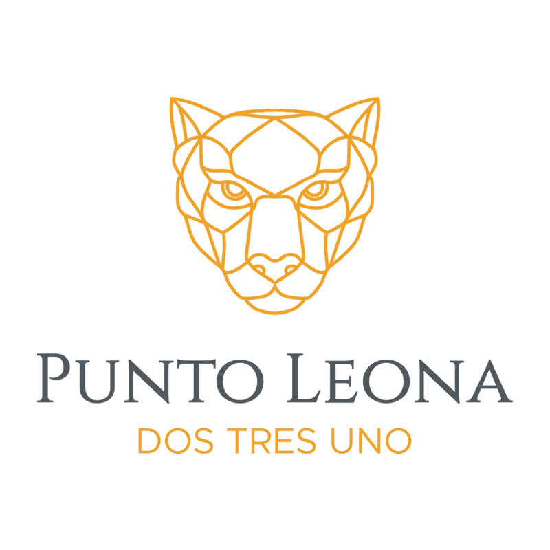 punto-leona-231