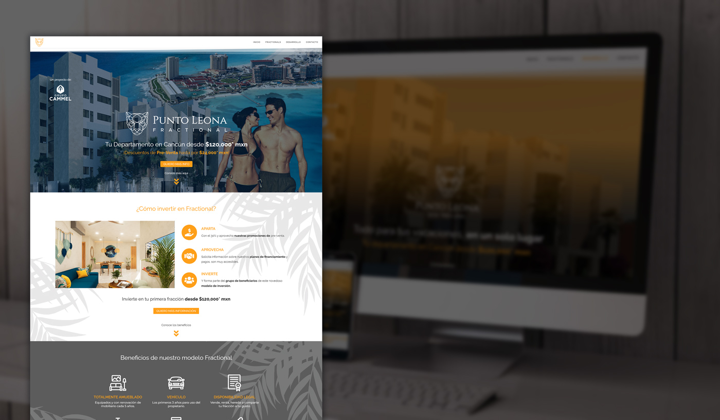 Claussell Studios - Webpsite Punto Leona A